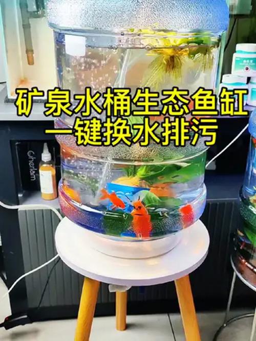 矿泉水养鱼会死吗（养鱼要统一水源，除氯再培菌，矿泉水仅作应急）