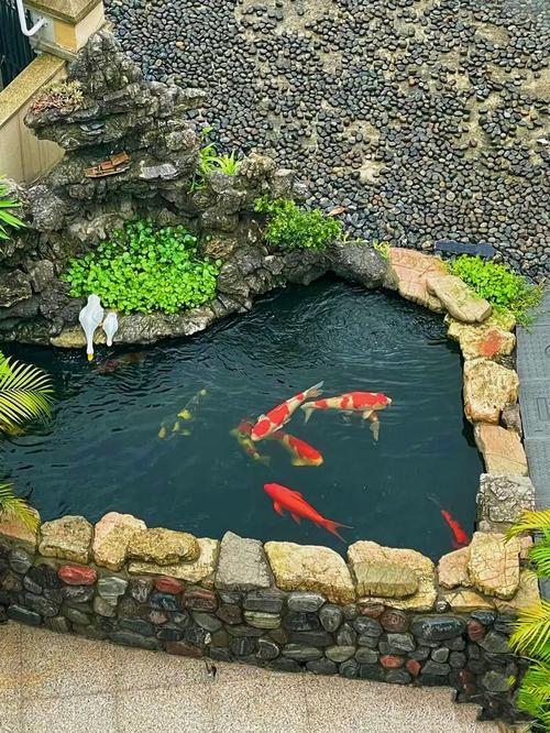 庭院养鱼放哪位置好(东向鱼缸清水净化两缸更稳) 庭院养鱼放哪位置好(东向鱼缸清水净化两缸更稳)