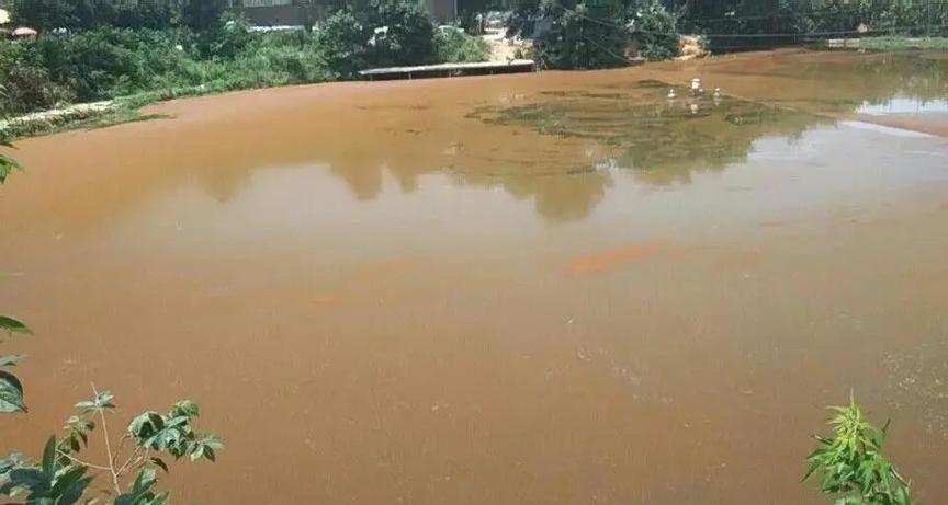 鱼塘水底有残饵能养鱼吗(鱼塘底泥清淤改底增氧换水并投放有益微生物,提升产量和水质) 鱼塘水底有残饵能养鱼吗(鱼塘底泥清淤改底增氧换水并投放有益微生物,提升产量和水质)