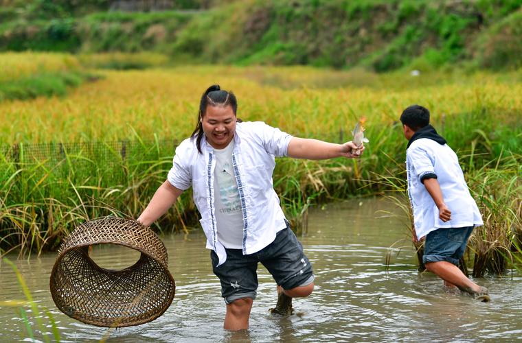 稻田抓鱼海报（亲子互动与代际传承的乡村旅游体验）