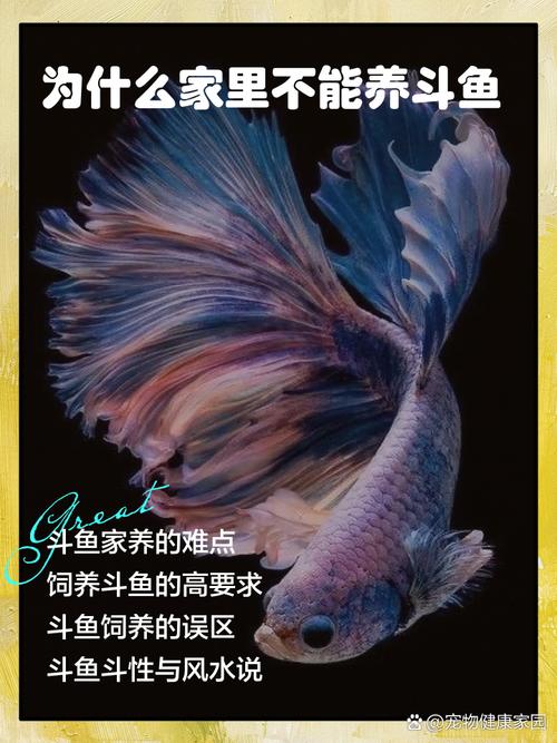 这种鱼为什么养不活（养鱼先养水稳温稳质控氨控氯分批引鱼）