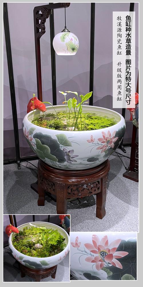 陶瓷缸适合养什么鱼（小型陶瓷缸养孔雀鱼斑马鱼，控密定期换水，添灯光与过滤器）