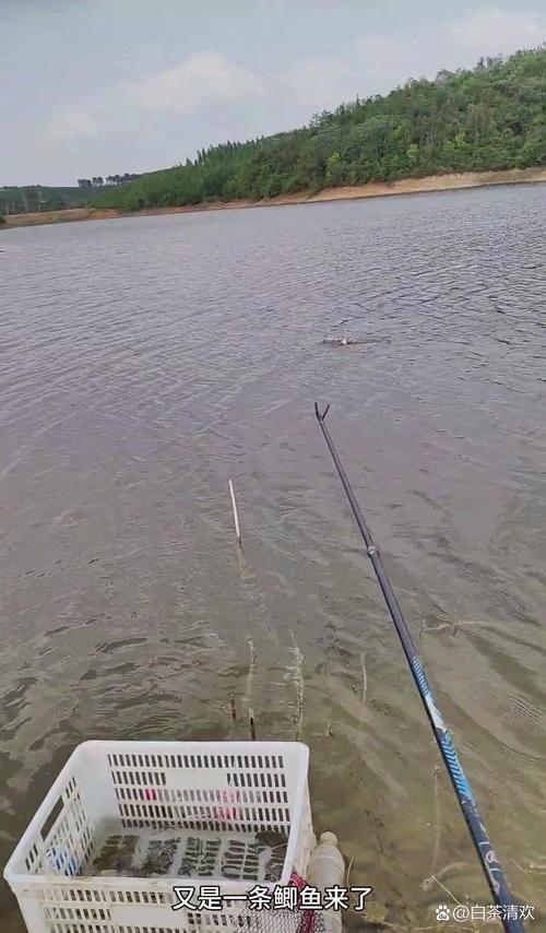 十几米的水深能钓到鱼吗(深水钓鱼技巧看水温地形落点活饵诱鱼与精准抛投)