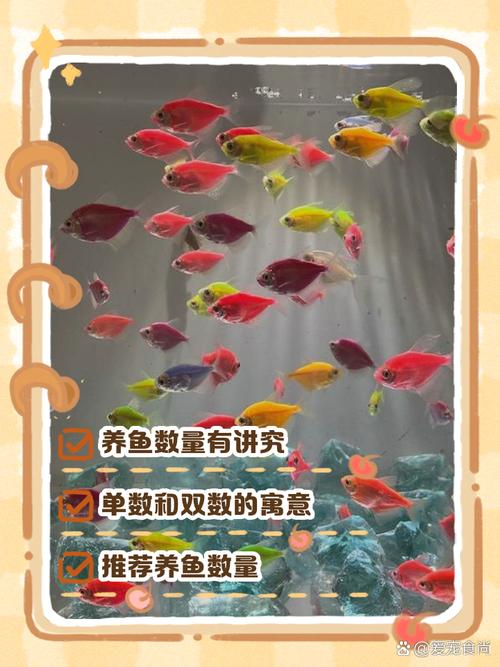 1米深的鱼缸养什么鱼（选鱼控水换水）