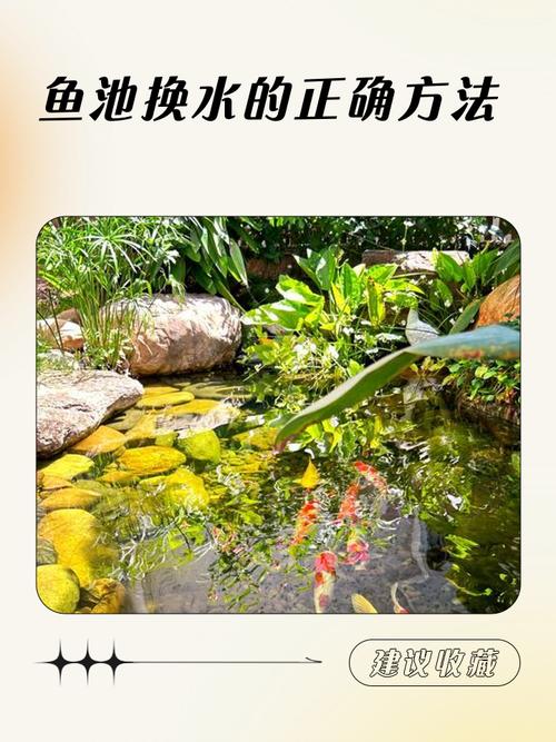 怎样才能鱼塘的水不流（低成本渗堵及薄膜覆压方案）