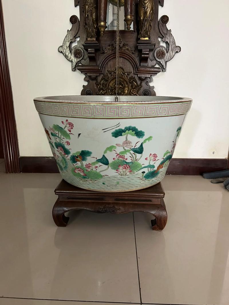 60左右陶瓷缸养多少鱼（控水质稳温日换，分层群养更稳）