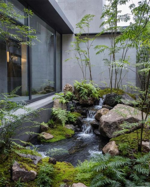 鱼池图片大全大图（小阳台也能打造可持续美景）