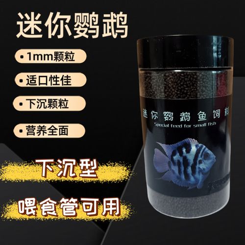 迷你鹦鹉鱼饲料（迷你鹦鹉鱼喂养细沙缸水质混养繁殖四大要点）