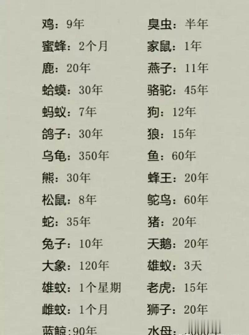 乌龟为什么寿命长（乌龟长寿靠慢节奏好环境与抗氧饮食）