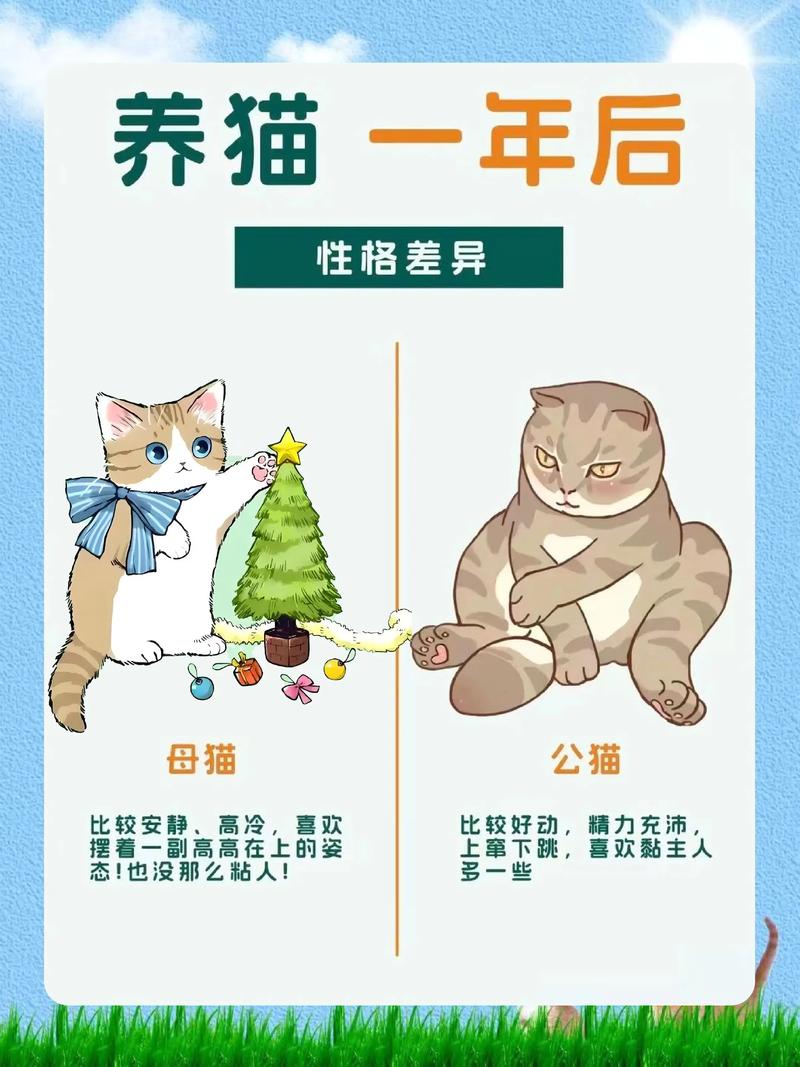 猫是哺乳动物吗（哺乳动物猎手与宠物）