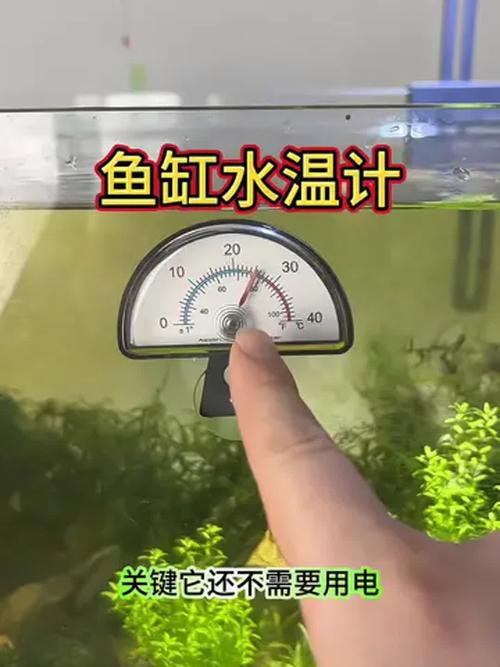 养鱼专用温度计是如何测温度的(稳定水温24–28℃,选好温度计) 养鱼专用温度计是如何测温度的(稳定水温24–28℃,选好温度计)
