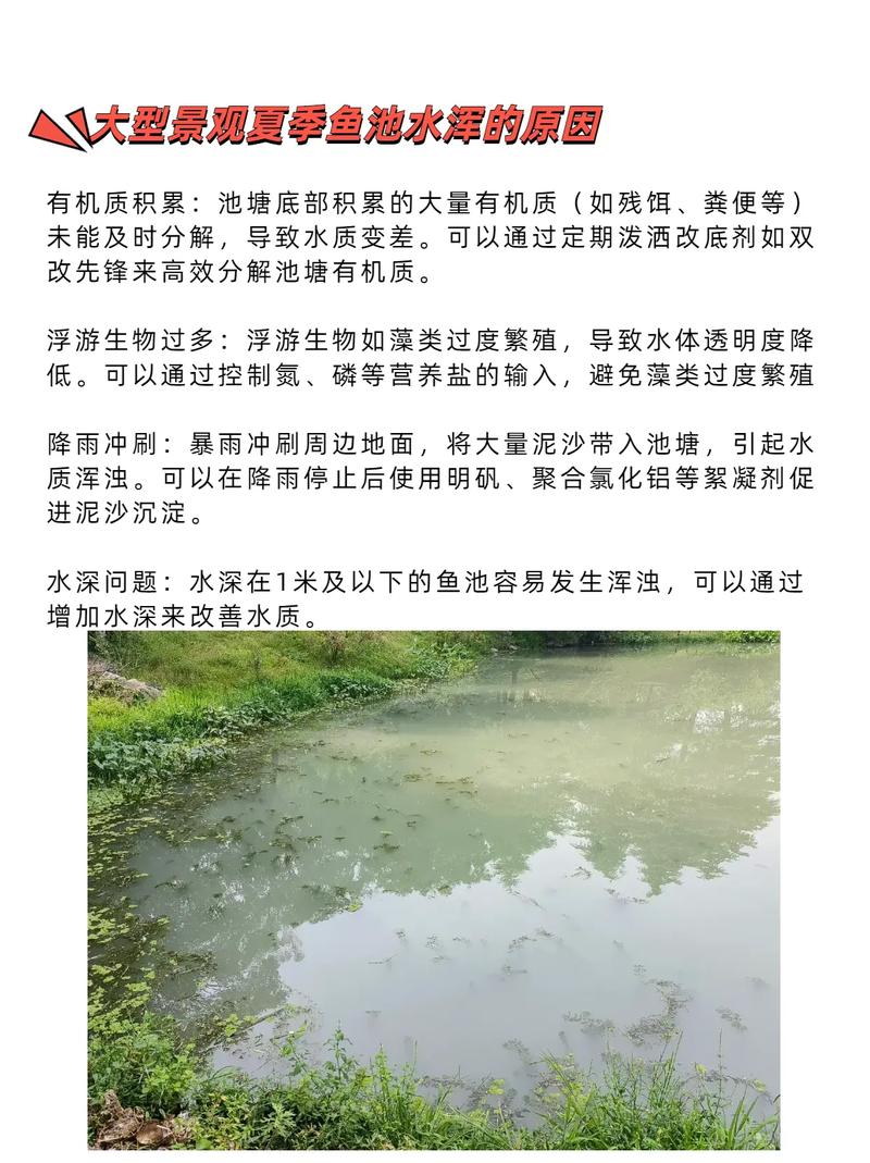 鱼塘没有流动水怎么办（溶解氧换水益生菌与水草）