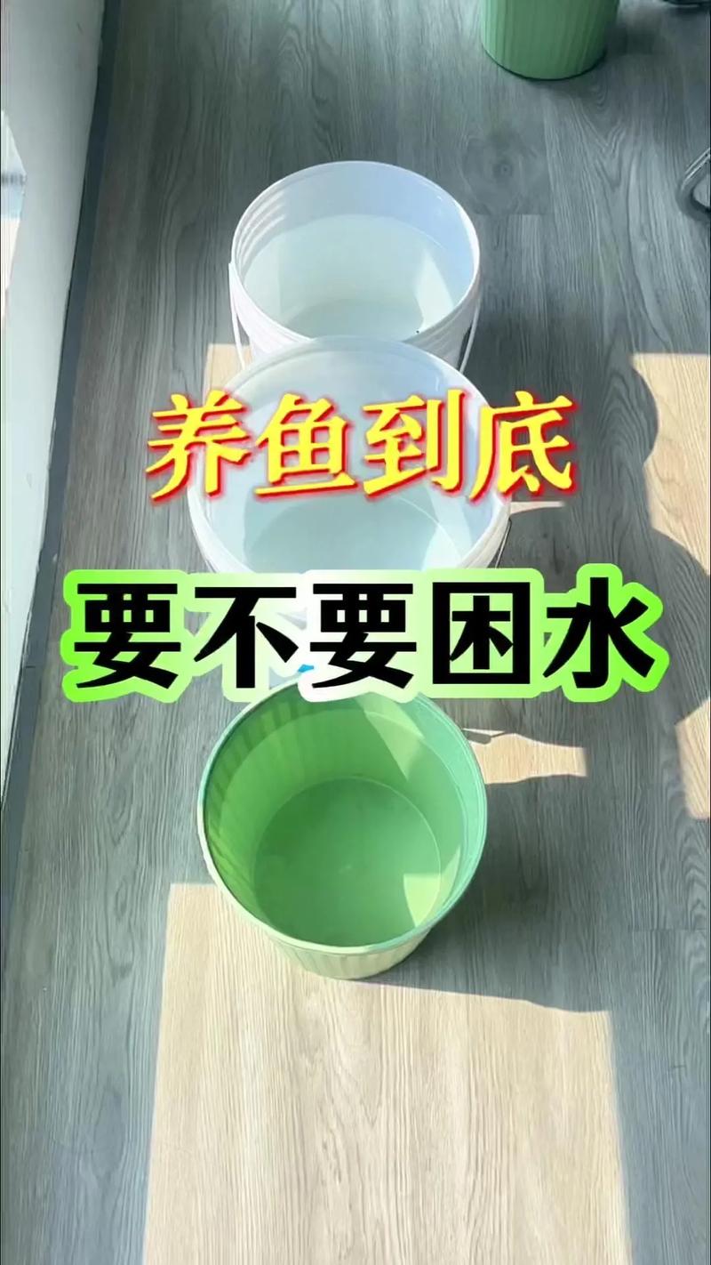 鱼放在自来水里能活吗（自来水养鱼三大难题全解除氯控温稳水质）