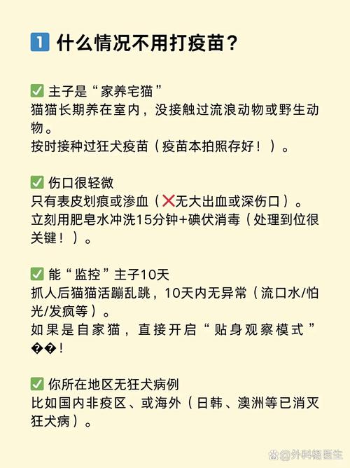 被猫抓了怎么判断没事(猫抓伤自查与处理要点就医与狂犬病观察)