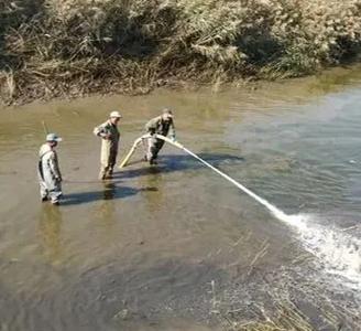鱼塘有鱼生石灰可以用吗(投加生石灰在养鱼塘的要点与禁忌)