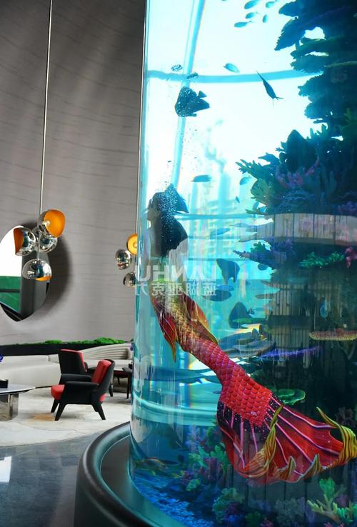 鱼缸圆的好还是方的好（新手首选方形鱼缸易控水省维护）