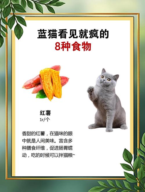 小猫最爱吃的10种食物（肉为主，罐头适量，奶蔬果搭配，十种最爱清单）