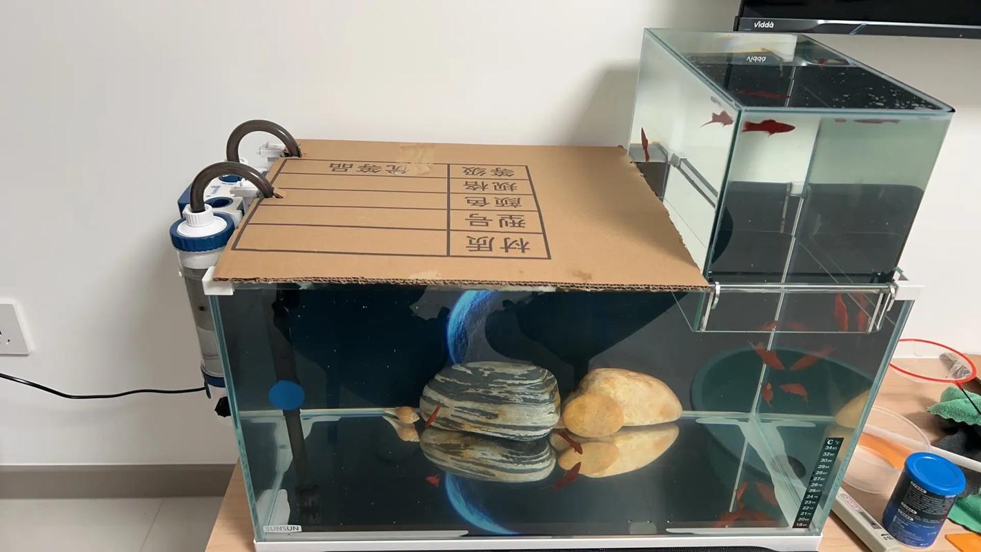 鱼缸的盖子是盖着好还是不盖好(缸盖防跳稳水质控蒸发与水位透气盖夏短开冬闭找平衡) 鱼缸的盖子是盖着好还是不盖好(缸盖防跳稳水质控蒸发与水位透气盖夏短开冬闭找平衡)