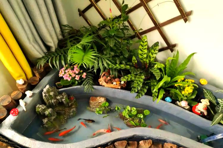 家庭自建小鱼池(家庭阳台纯天然生态鱼池设计与预算分享)