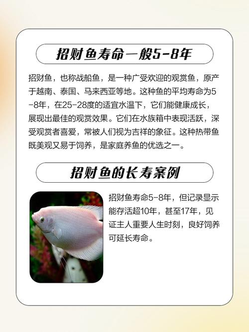 鱼类的寿命有多长（体型环境与可持续养殖决定）