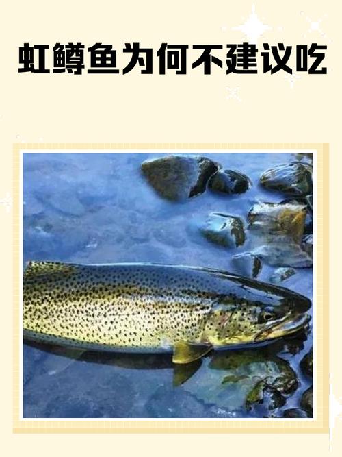 猪鼻蛇能吃虹鳟鱼吗（猪鼻蛇主食以蛙类和小鼠为主，鱼类仅作选项，喂养需渐进谨慎）