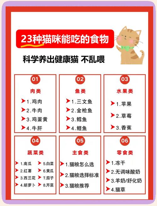 猫你能吃的人类食物（禁忌配餐要点与周计划）