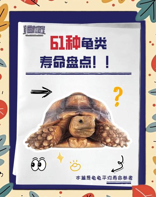乌龟寿命一览表（乌龟品种寿命差异与养护要点）