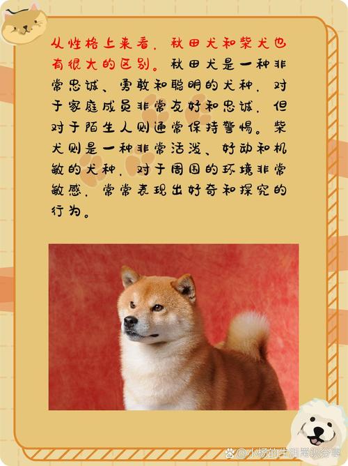 养柴犬好还是秋田犬（谁更适合你？看体型性格空间与预算）