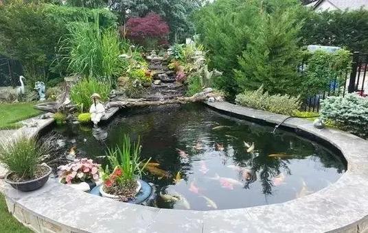 鱼池一般多深合适(庭院鱼池深浅分区设计与养水投鱼要点)
