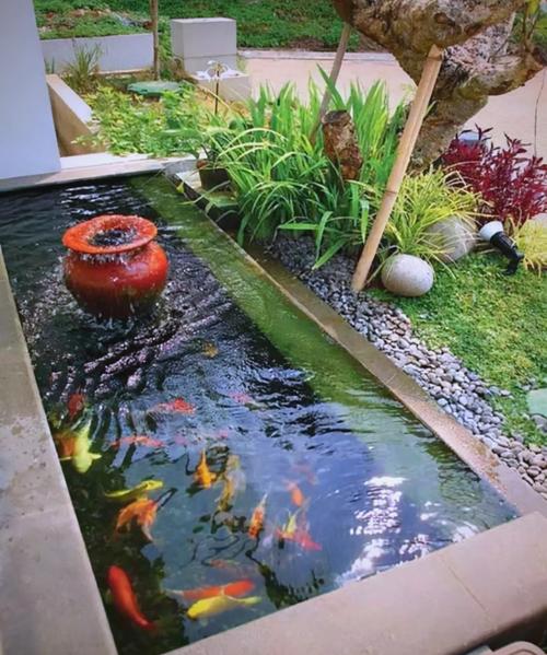 最简单庭院自制小鱼池（后院落差改造玻璃水景，分区防渗养鱼降温美观）