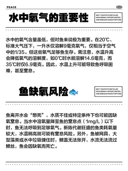 鱼离开水痛苦吗（离水危及鱼命，养鱼从勤换水控水质开始）