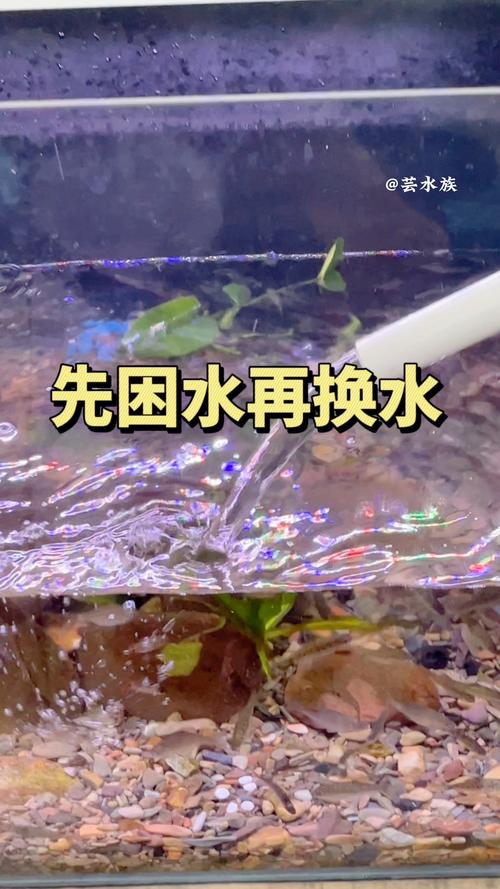 鱼缸困水的正确方法（困水要看水质余氯与硝酸盐，别靠固定时间）