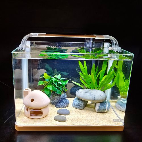 热弯玻璃鱼缸可以切割吗（热弯玻璃鱼缸裁切风险高请专业加工或换新）