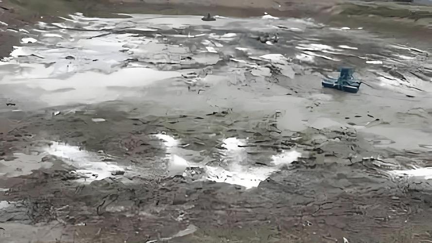 鱼塘有鱼可撒石灰水吗(无鱼投放精准用量先解毒再放养) 鱼塘有鱼可撒石灰水吗(无鱼投放精准用量先解毒再放养)