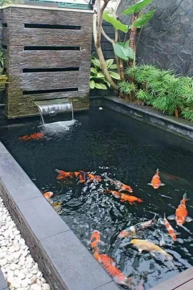 鱼池一立方水养多少鱼(水质溶氧密度分级与日常管理)