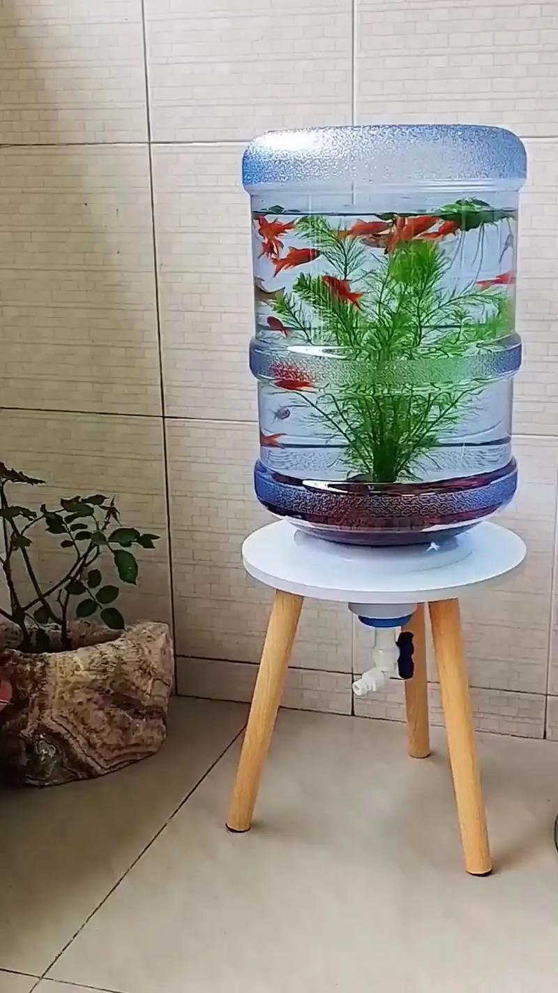 闲置鱼缸的妙用（垂直花园微景观与灯箱）