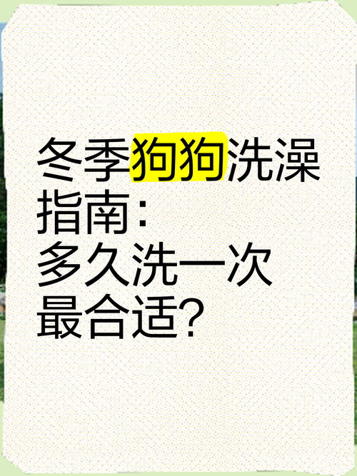 小狗一般多久洗一次澡(毛型季节环境决定)