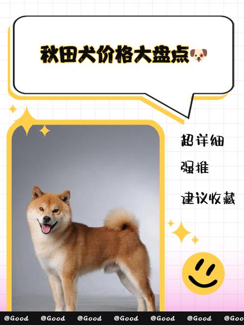 秋田犬为什么不建议养（秋田犬不适合第一犬，需评估空间与预算）