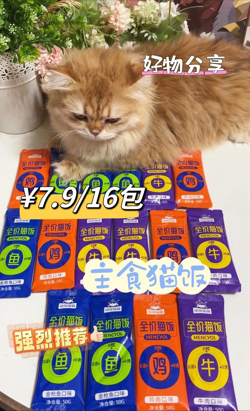 猫饭能代替猫粮吗（自制猫饭与猫粮喂养要点安全混合长期方案）