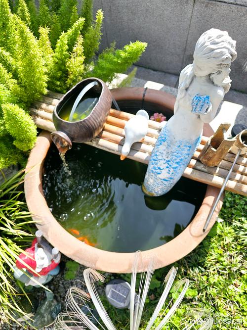 庭院小鱼池溪流能自循环吗（鱼池—沉淀桶—微滤—生化舱回池）