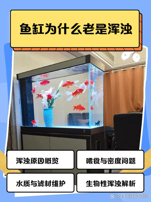 陶瓷缸养鱼为啥养不活（养鱼先养水控密度与水质管理要点）