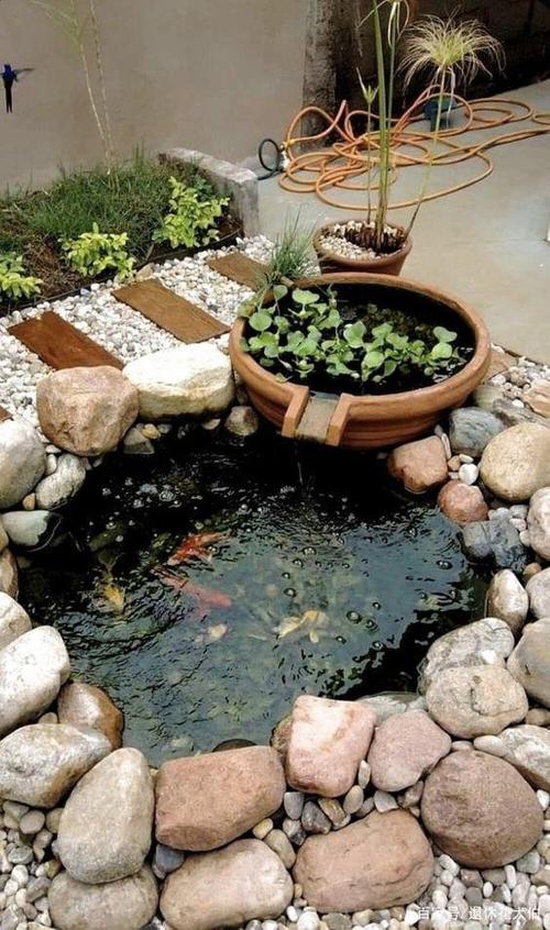 院子里挖鱼池多深最佳(院子鱼池深度因地制宜,锦鲤常见深度1.2-1.5米)