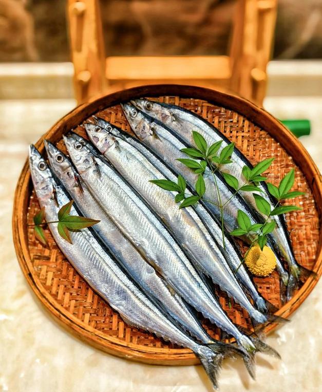 秋刀鱼是海鱼吗（正宗海鱼，9-11月最佳吃法与欧米伽-3）