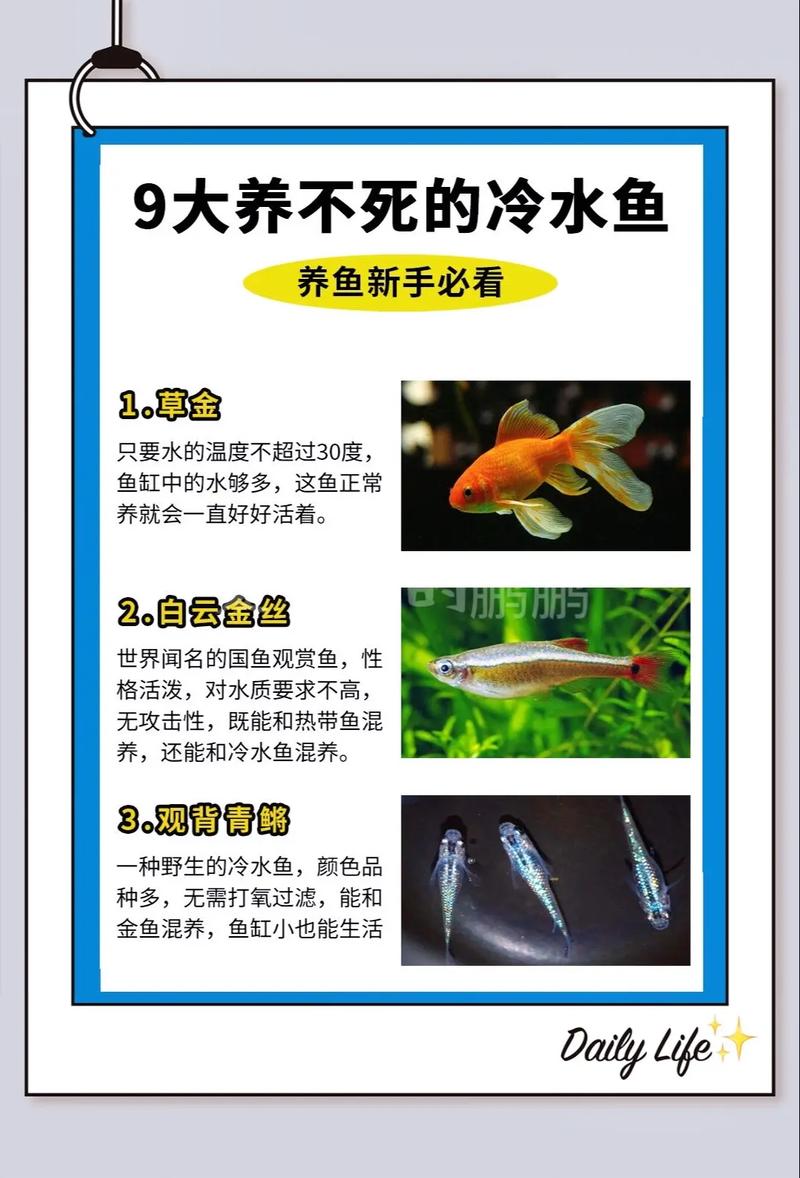 草金鱼一般什么时候甩籽（春季草金鱼繁殖要点水温产卵分缸喂养）