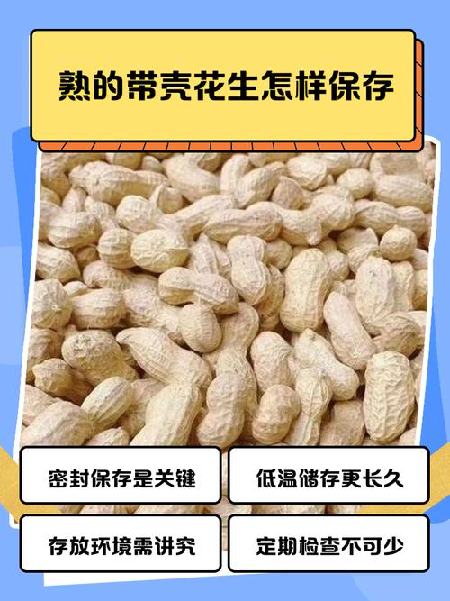 带壳花生煮多久能熟（带壳花生煮熟时间与口感要点）