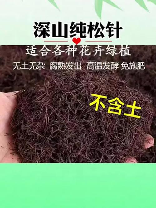 没发酵过松针可以拌泥土种花吗（干松针发酵后再用，别直接拌土，控酸保水更稳妥）