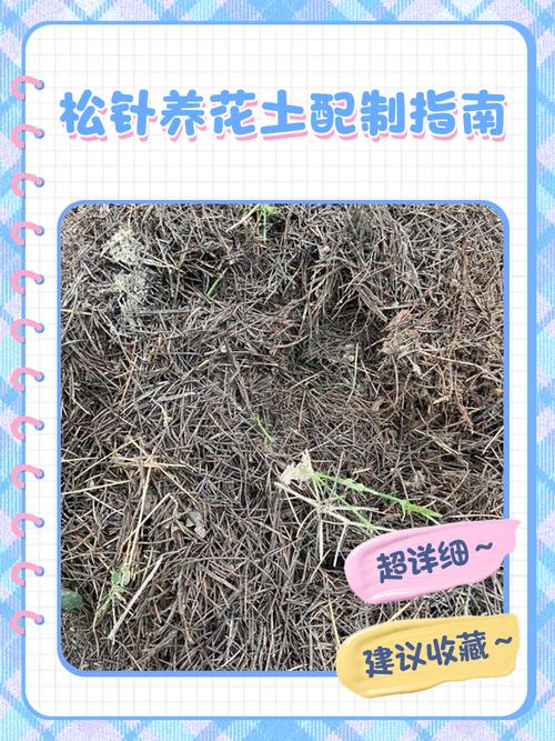 养花土的配制方法（自制花土三层配方，保水透气慢肥）