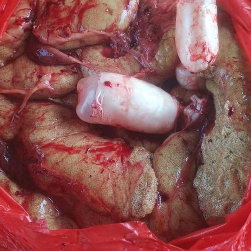 鲤鱼秋天肚子里有鱼籽吗（选购判断成熟度与储存要点）