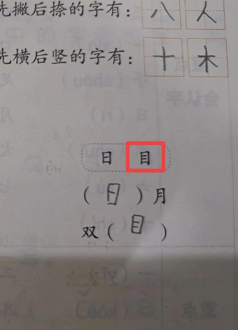 什么什么什么目(视觉冲击遮人耳目与透明公开)