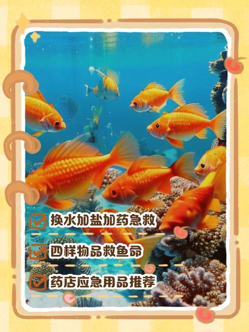 金鱼一般追尾多久能甩籽（控温水质产卵介质卵孵化亲鱼分离病卵处理）